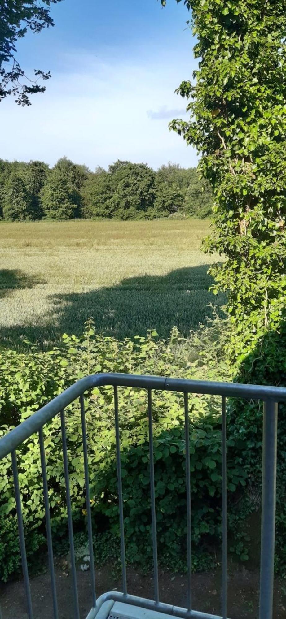 Appartement Landperle à Schortens Extérieur photo